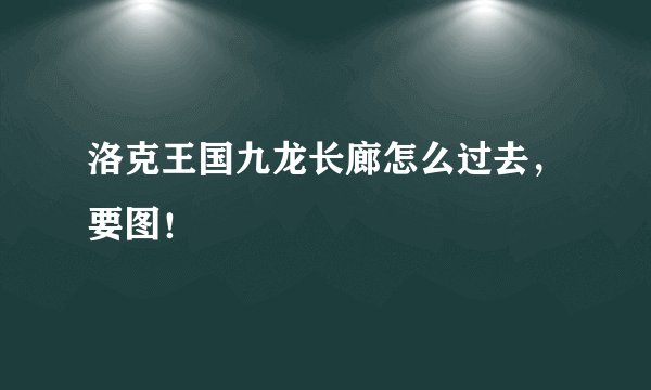 洛克王国九龙长廊怎么过去，要图！