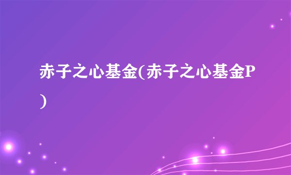 赤子之心基金(赤子之心基金P)