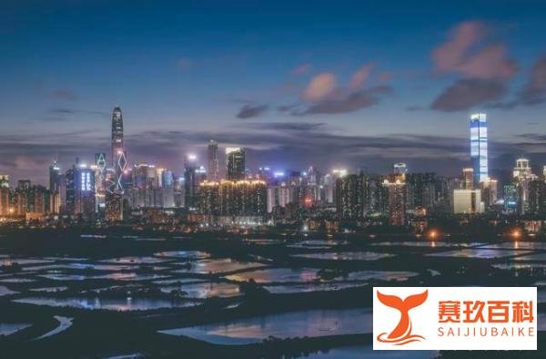 我国单身人口突破2.4亿！