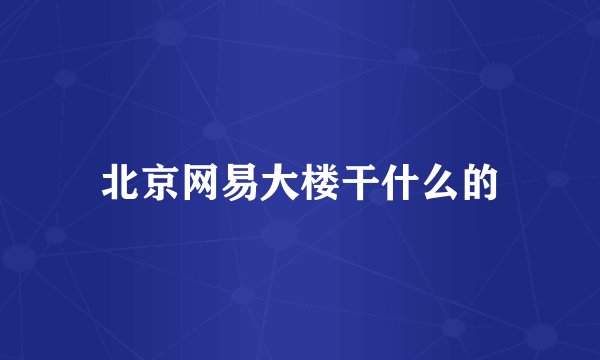 北京网易大楼干什么的