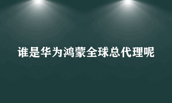 谁是华为鸿蒙全球总代理呢