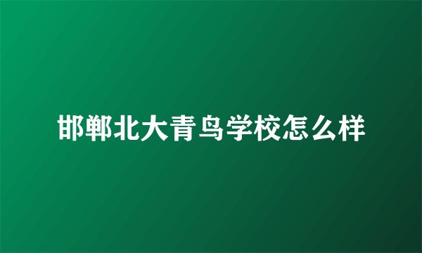 邯郸北大青鸟学校怎么样