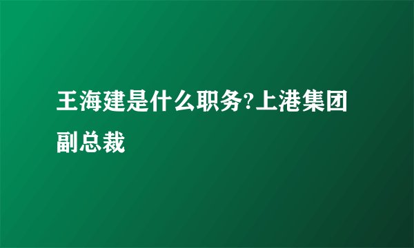 王海建是什么职务?上港集团副总裁