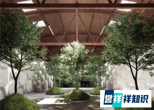 全球首家：把遗体变土壤肥料的殡仪馆，坚持可持续殡葬，太颠覆了