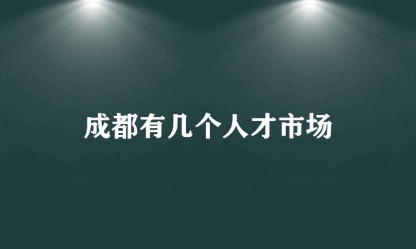 成都有几个人才市场
