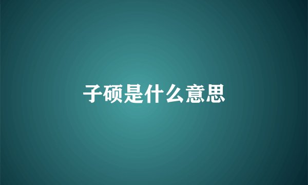 子硕是什么意思