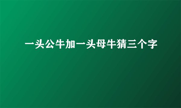 一头公牛加一头母牛猜三个字