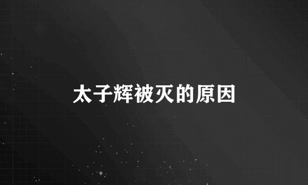 太子辉被灭的原因