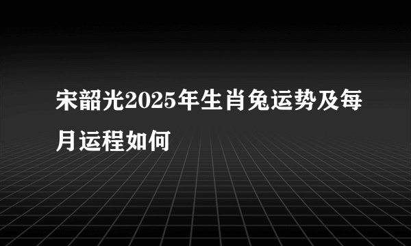 宋韶光2025年生肖兔运势及每月运程如何