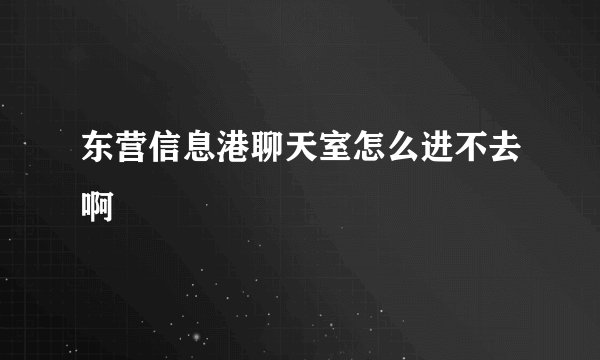 东营信息港聊天室怎么进不去啊