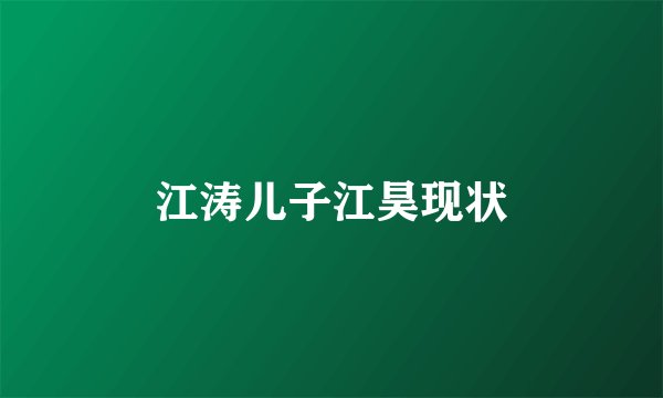 江涛儿子江昊现状