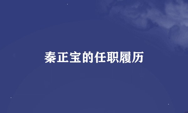 秦正宝的任职履历