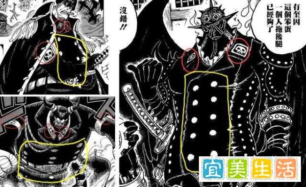 详解海贼王官方“第0话”，信息量爆炸！甚至涉及和之国剧情！