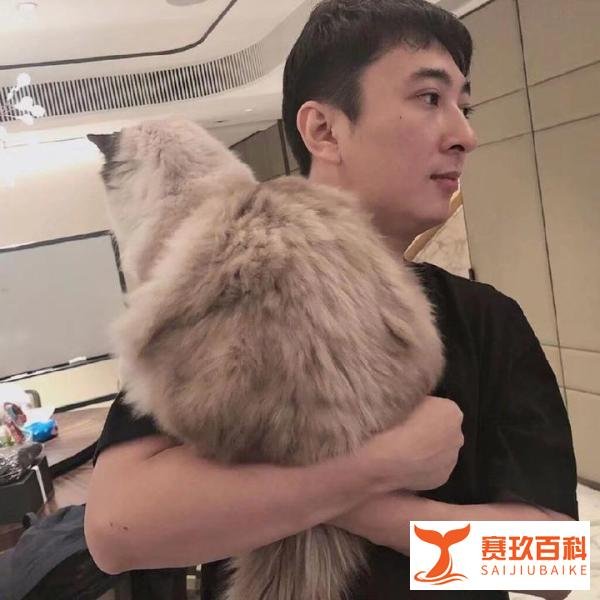 王思聪要怒告无良营销号