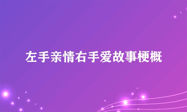 左手亲情右手爱故事梗概