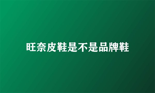 旺奈皮鞋是不是品牌鞋