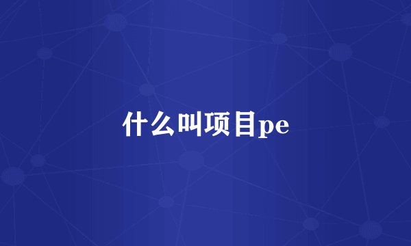什么叫项目pe
