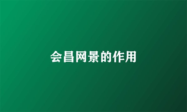 会昌网景的作用