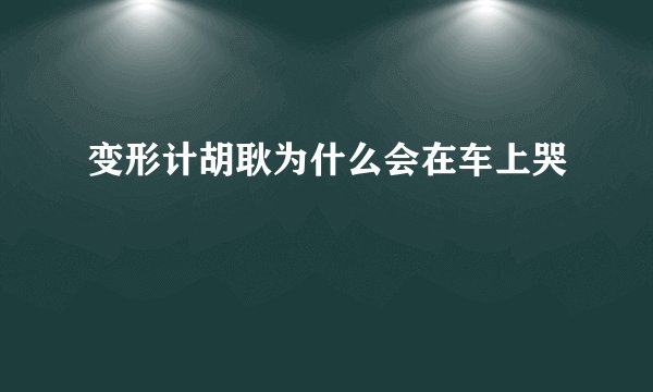 变形计胡耿为什么会在车上哭