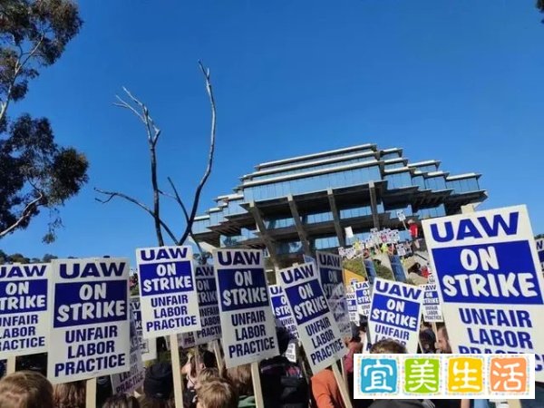 加州大学大罢工事件始末，教职工收入低到竟然靠卖血维持生活？