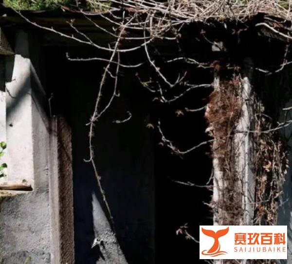儿子将瘫痪父亲活活饿死被判死刑