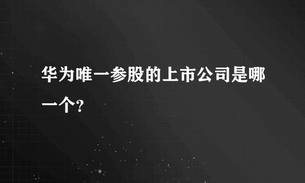 华为唯一参股的上市公司是哪一个？