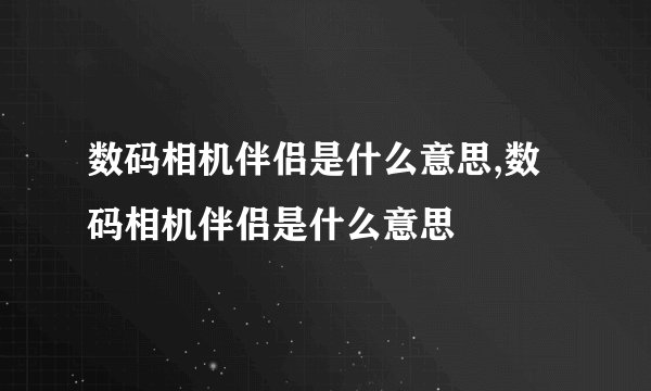 数码相机伴侣是什么意思,数码相机伴侣是什么意思