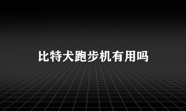 比特犬跑步机有用吗