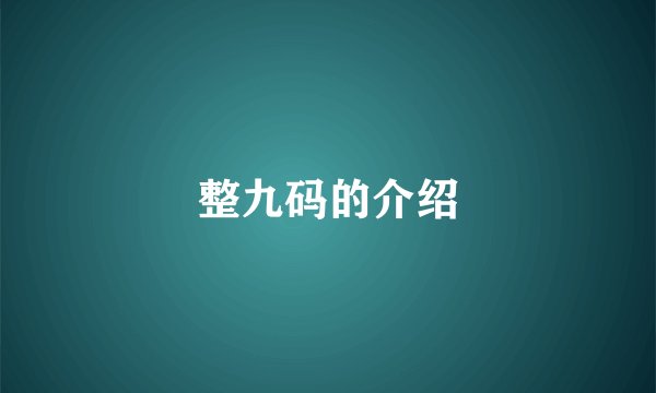 整九码的介绍