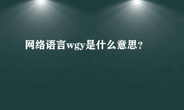网络语言wgy是什么意思？