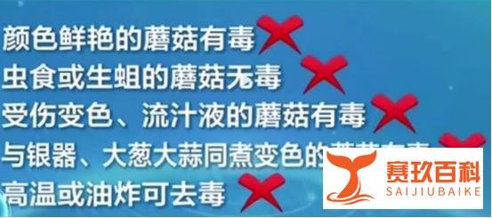 昆明一办公室内长出巨大蘑菇，网友：云南那么神奇吗？