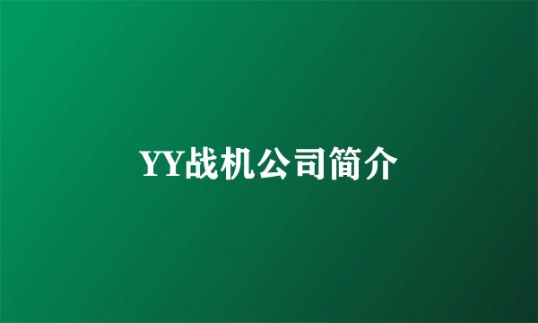 YY战机公司简介