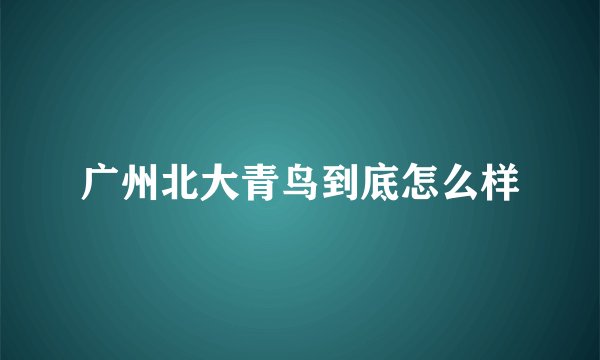 广州北大青鸟到底怎么样