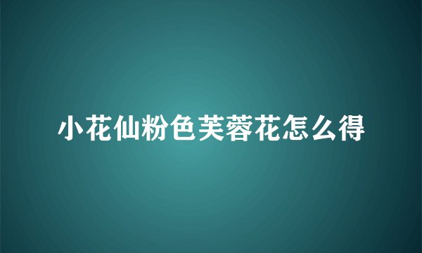 小花仙粉色芙蓉花怎么得