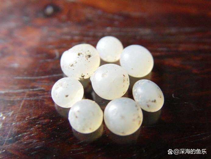舍利子的化学成分是什么?为何普通人没有,只有高僧圆寂后才有?
