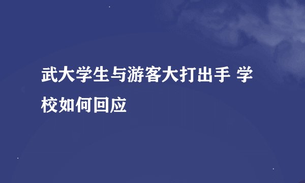 武大学生与游客大打出手 学校如何回应