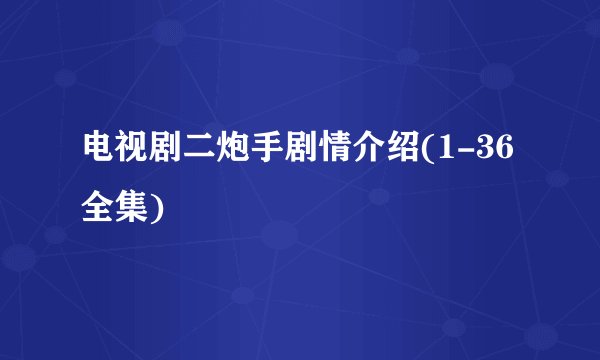 电视剧二炮手剧情介绍(1-36全集)