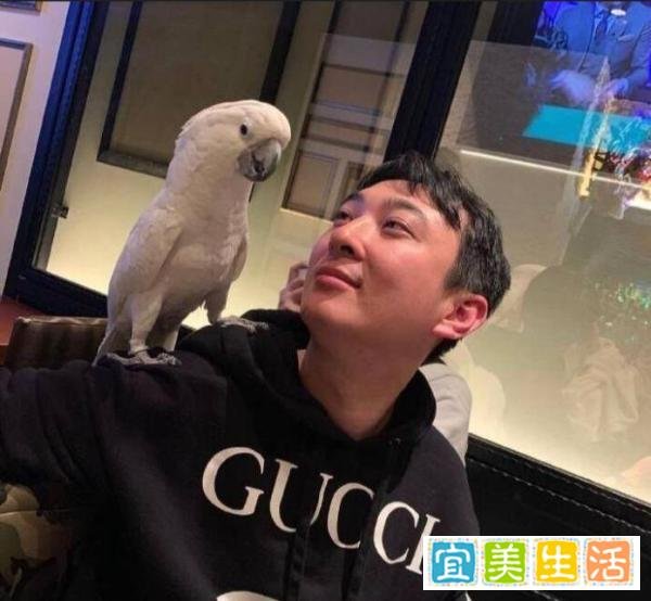 娱乐圈纪检委员王思聪社交账号遭封禁,事件原由耐人寻味