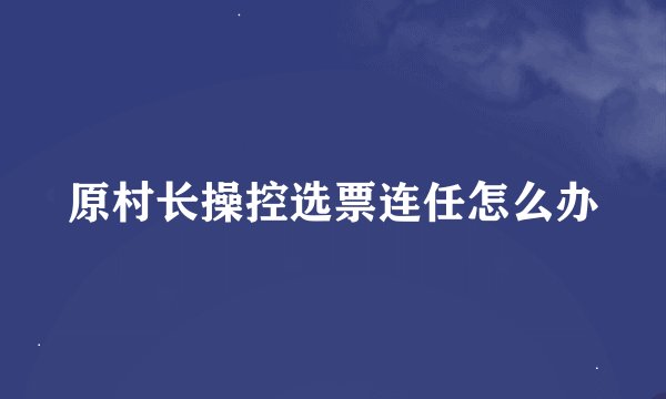 原村长操控选票连任怎么办
