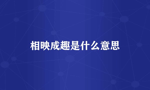 相映成趣是什么意思