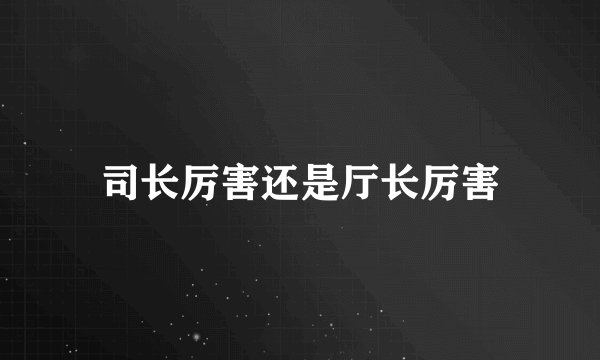 司长厉害还是厅长厉害