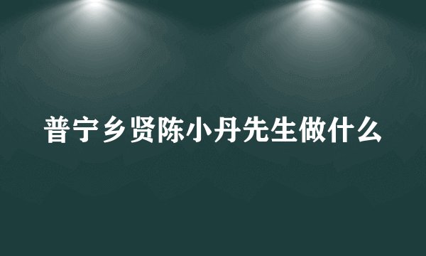 普宁乡贤陈小丹先生做什么