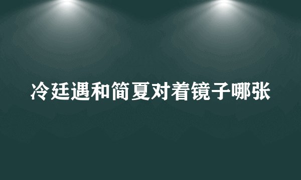 冷廷遇和简夏对着镜子哪张