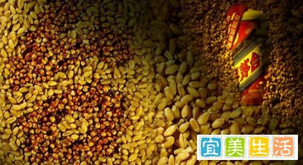 茅台飞天批价连续下破！白酒股迎来考验？