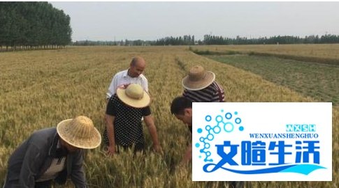 农村户口真的越来越值钱吗？