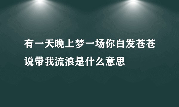 有一天晚上梦一场你白发苍苍说带我流浪是什么意思