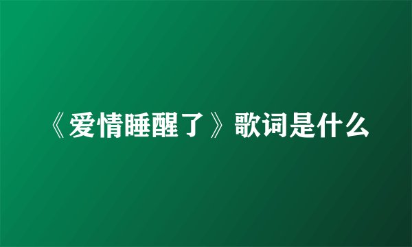 《爱情睡醒了》歌词是什么