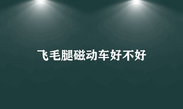飞毛腿磁动车好不好