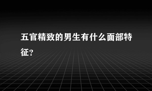 五官精致的男生有什么面部特征？
