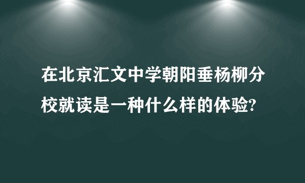 在北京汇文中学朝阳垂杨柳分校就读是一种什么样的体验?